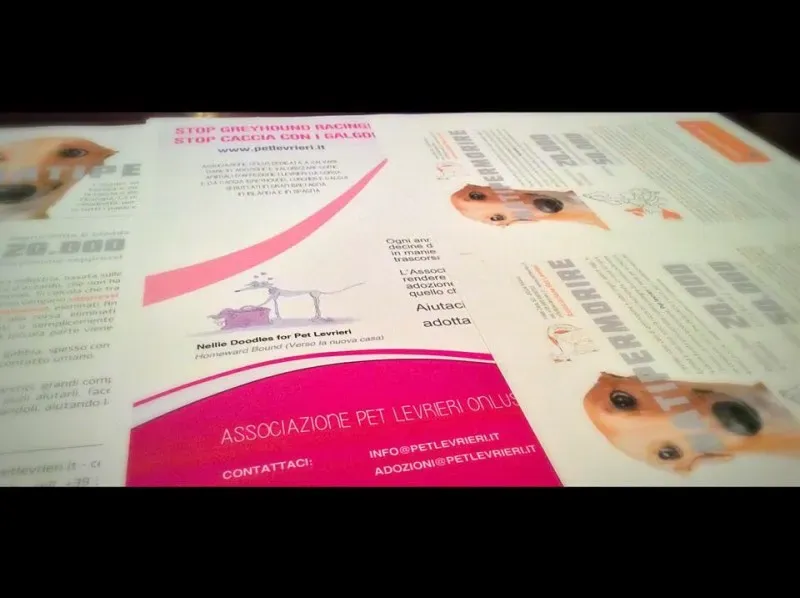 10487430 10205766843118588 8692880154240617772 n