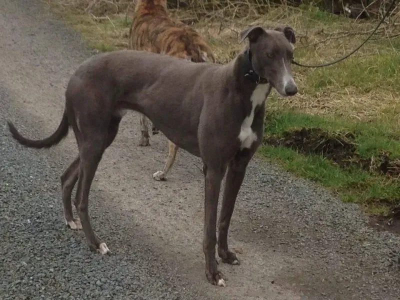 10487448 980401352043720 1033393672262094188 n