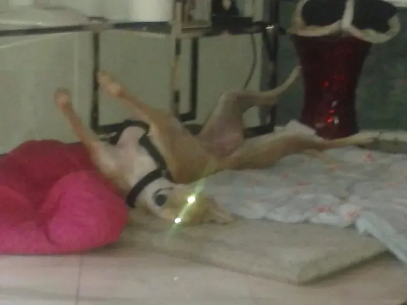 10488026 677745648975960 1186012691626928419 n