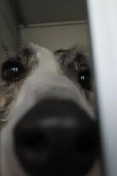 10488209 1014949461856086 4965730949080680614 n