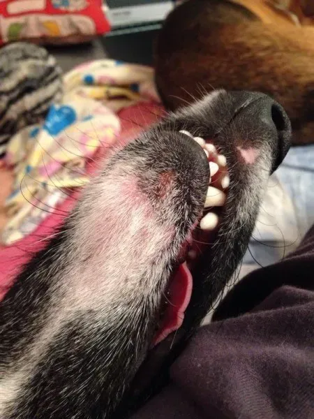 10488939 10204398893116203 5787955 n