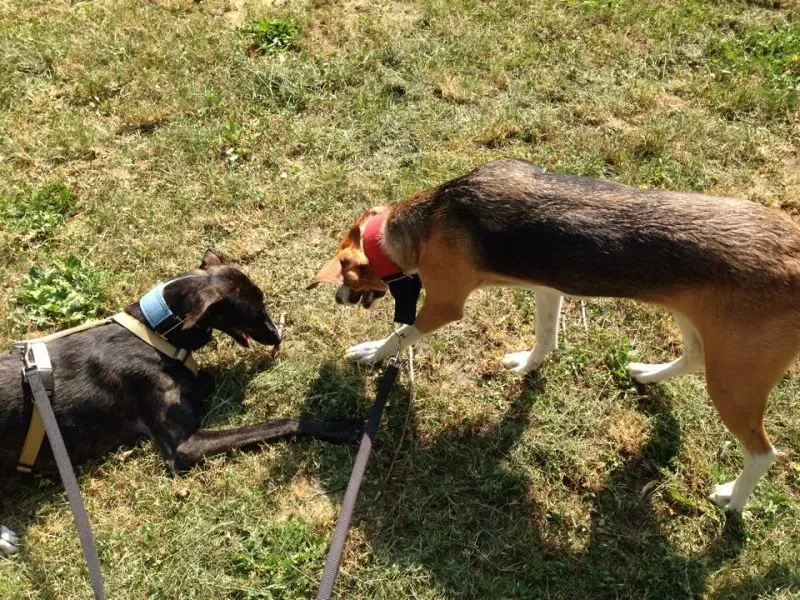 10489201 10204398864555489 733551828 n