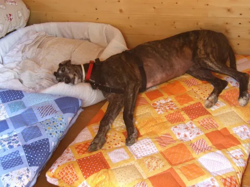 10489758 10203442584336630 5077629909763082708 n