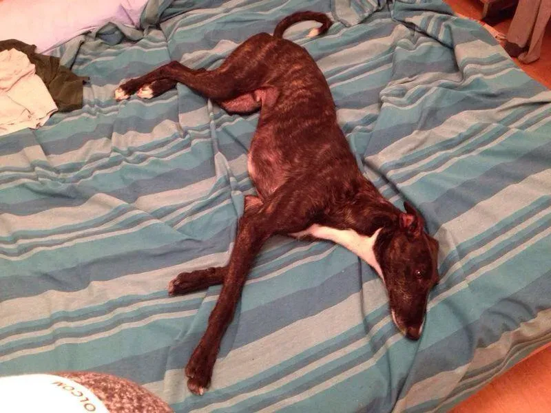 10490136 10204398888636091 352391548 n