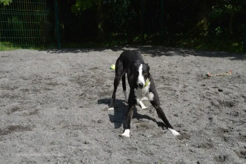 10491109 570180653090247 3604723659466450045 n