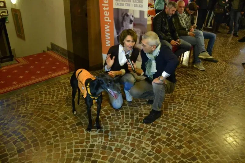 10491116 730140853736439 1115401296210403785 n