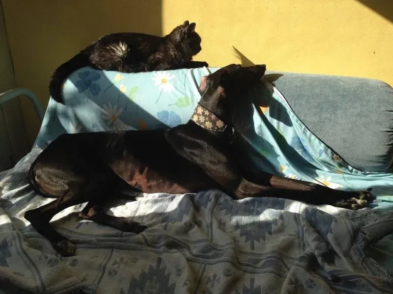 10491258 775562152527642 3263941972996754021 n