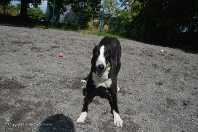 10491277 570180933090219 8172492662762608614 n