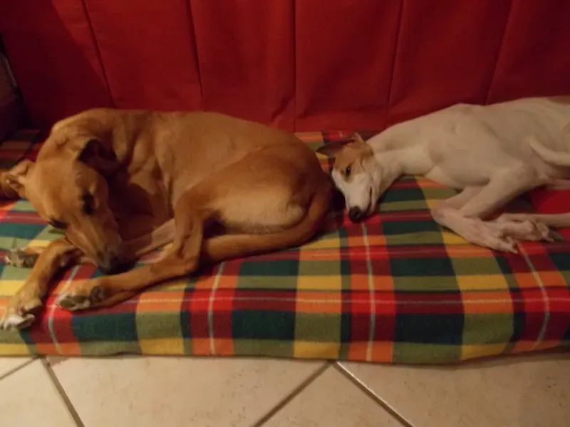 10494370 10202193667843392 5581187933878865831 o