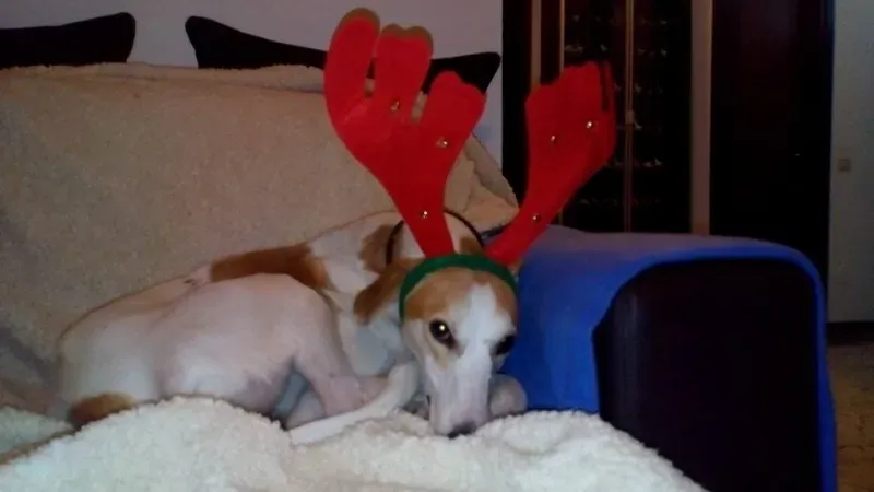 10494681 521344758042558 1569076365441957032 n