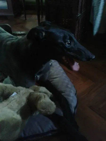 10495293 672952262782282 806675111326962910 o