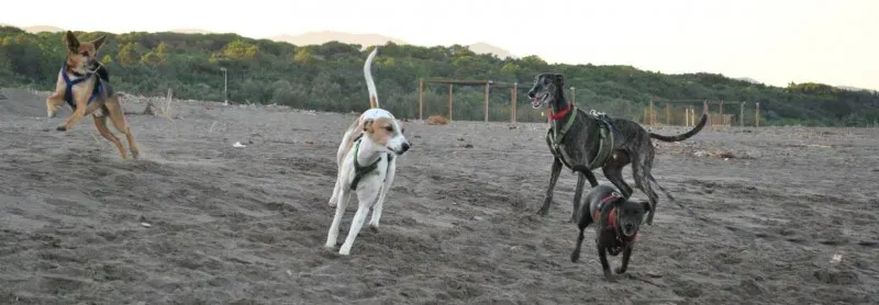 10495328 10204138704979211 2507318059663908926 o