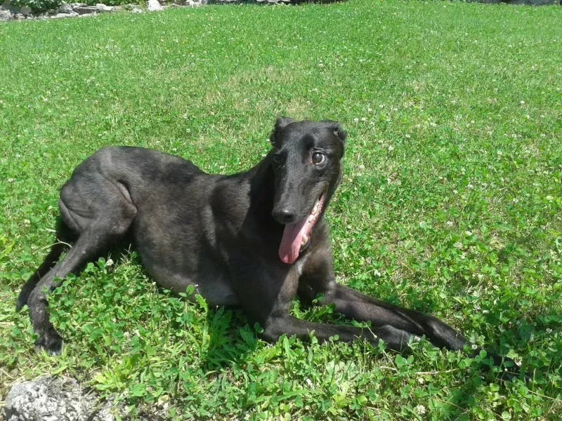 10496026 670632009680974 6382463986355101461 o