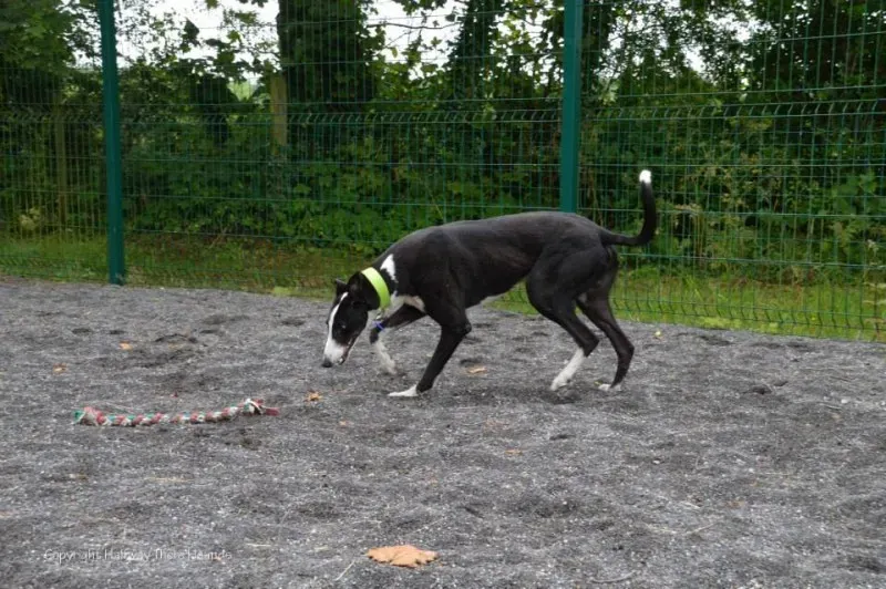 10500317 557320644376248 1287167258955115890 n