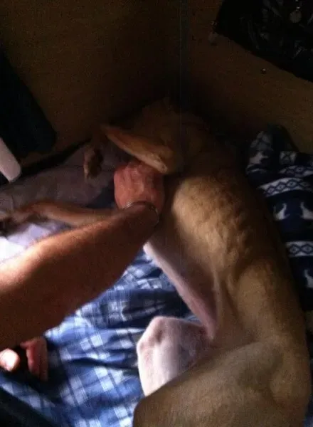 10500429 10202974045734101 3360736215052016304 n