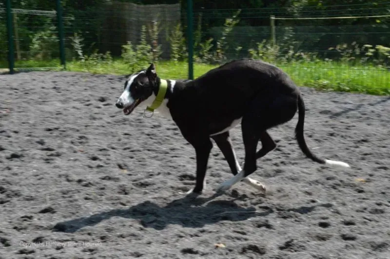 10500571 570180586423587 5852658151162178184 n