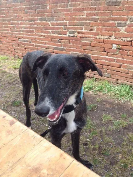 10501300 10204398891356159 64011822 n