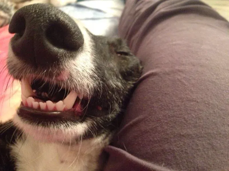 10501359 10204398893276207 1278774268 n