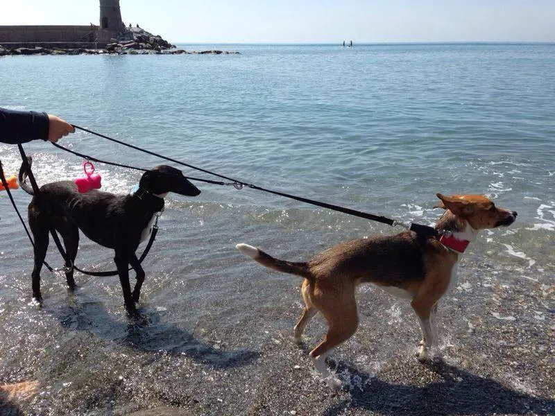 10501364 10204398891196155 249732422 n