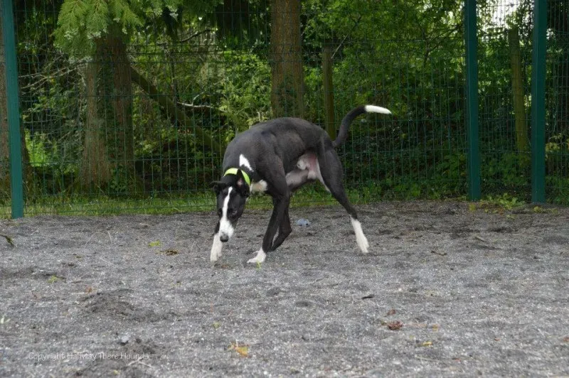 10501825 557320664376246 6033843079730142169 n