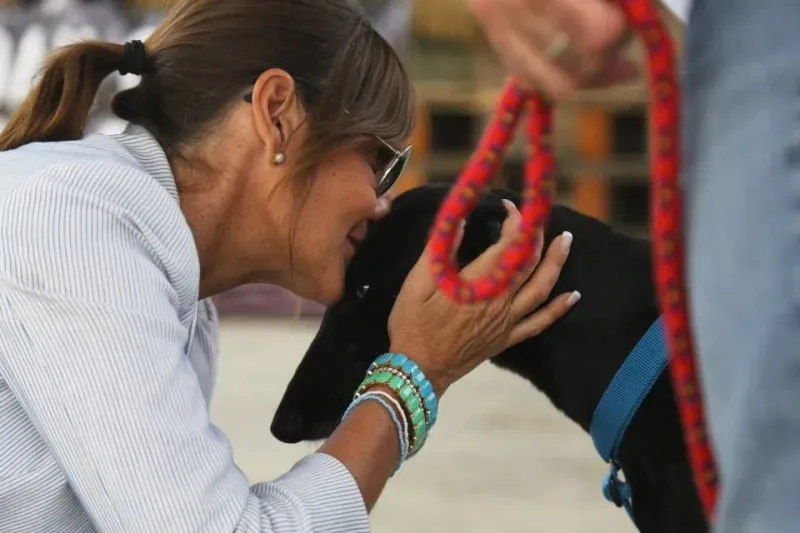 10501944 824846584265865 1840823606848033132 n