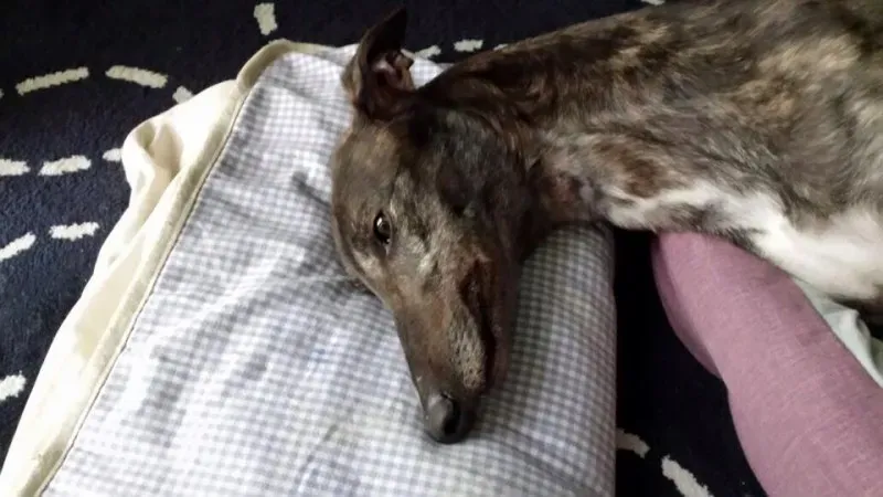 10501956 852786071479664 8299632583869524020 n