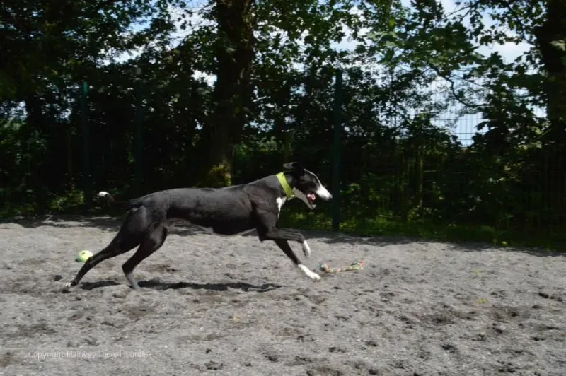 10502011 570180833090229 7890377501551784144 n