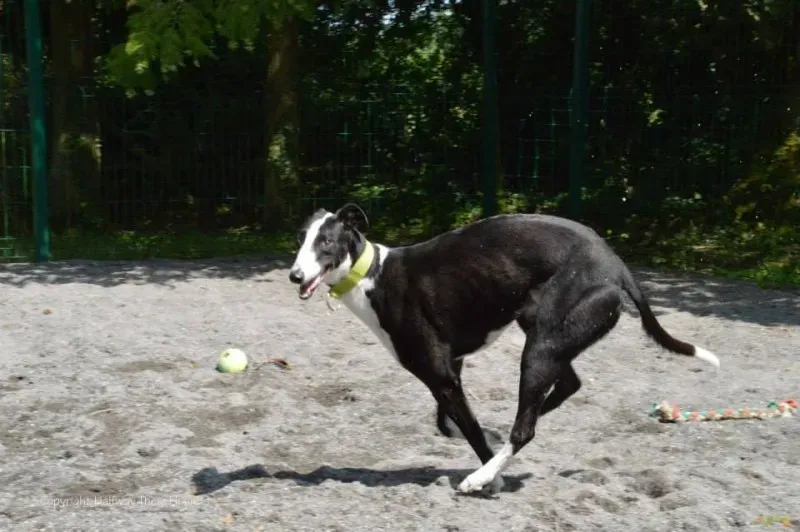 10502132 570180793090233 5566413419337365631 n