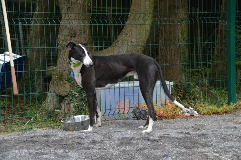 10502197 557320977709548 2387428963960306049 n1