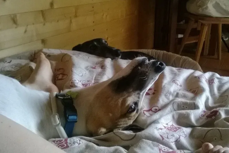 10502219 693954510665724 8847172283961274272 n