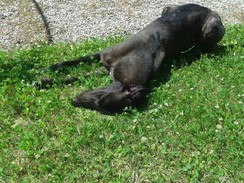 10504941 670630993014409 8580407691795896733 o