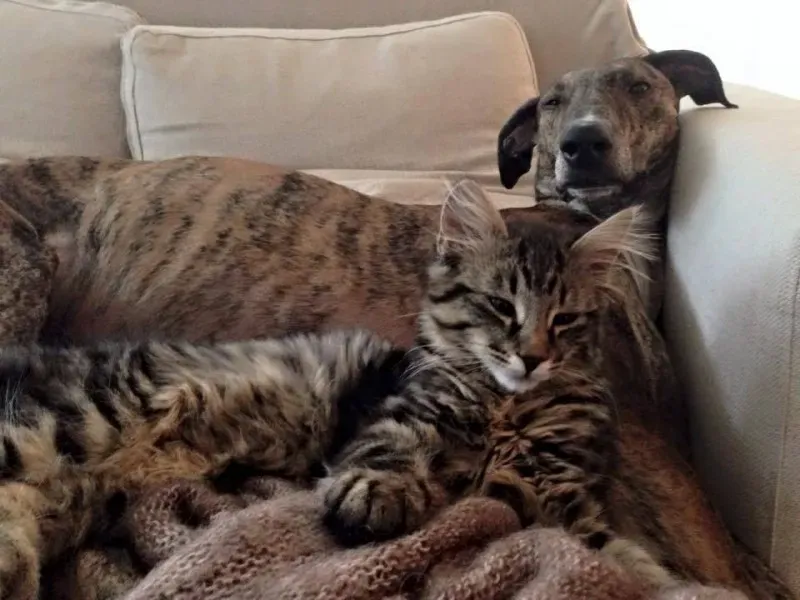 10505330 775562362527621 2470717604071670369 n