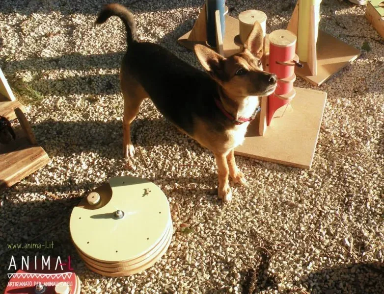 10505405 724147437669114 8597179926247494172 n