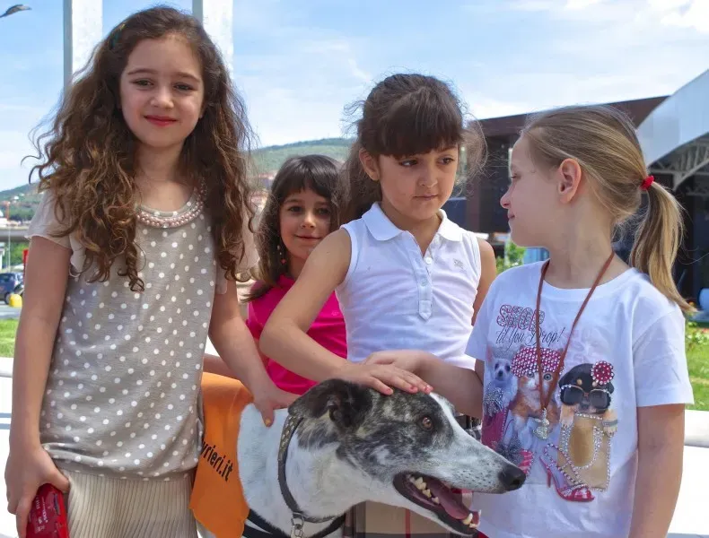 10506930 10202939888377504 301435380798447 o