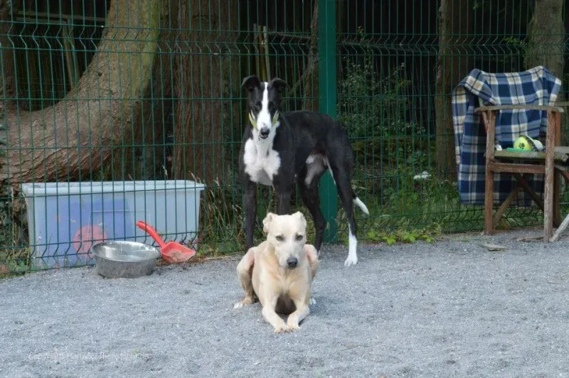 10511235 570180463090266 3838793676599653954 n