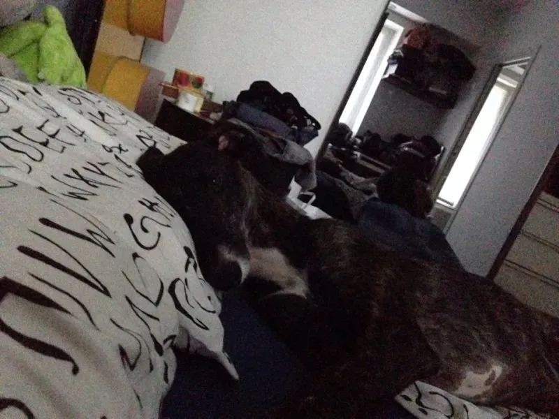 10514796 10204398870435636 1850449750 n