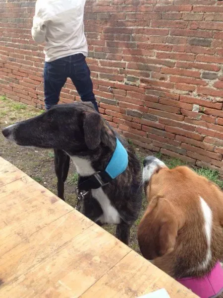 10514855 10204398891236156 207723739 n