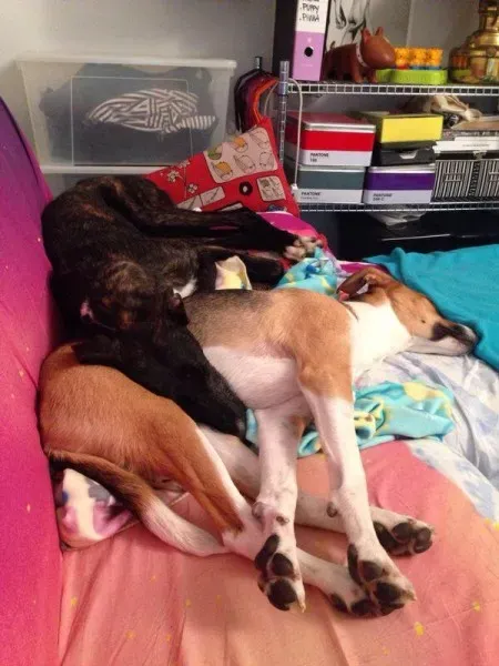 10515018 10204398893236206 970509049 n