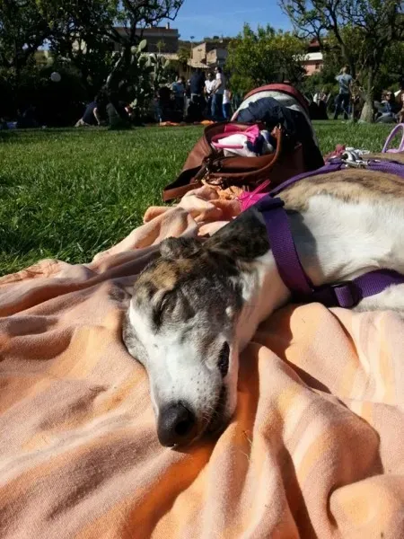 10517517 10205658701219253 8617417502547186301 n