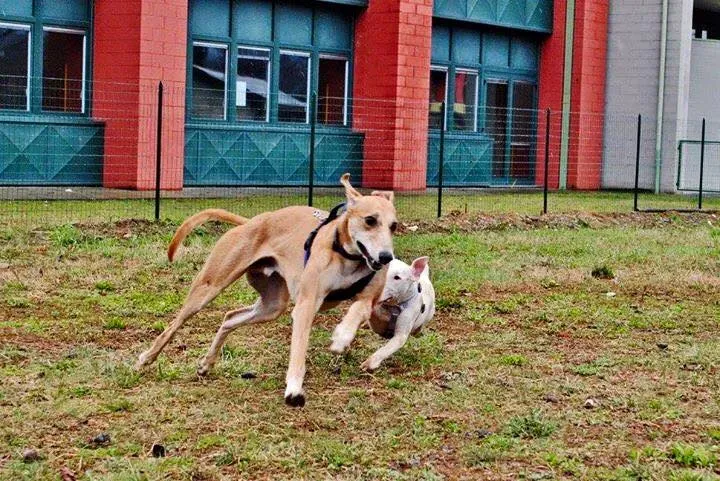 10518015 10207845047223026 652483754133464536 n