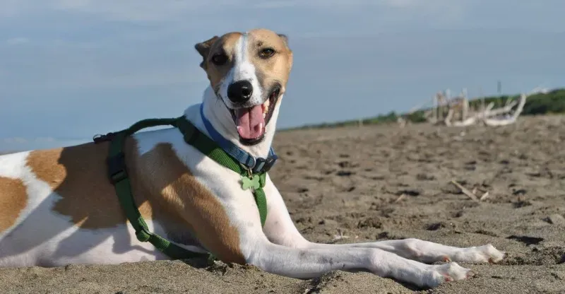 10519710 10204136636207493 4078686196880623313 o