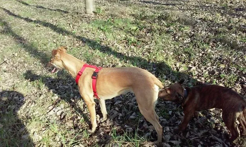 10520641 1028558553828095 7021879194799356384 n