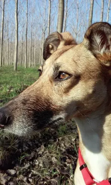 10520650 1028558883828062 1372500685939267379 n