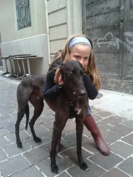 10521704 669159453161563 2801351938003523668 o