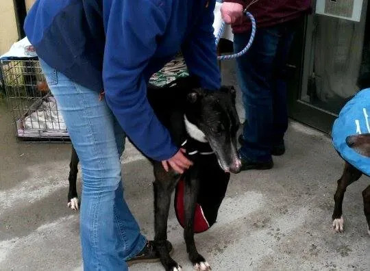 10523777 10204803724070754 1834594455 n