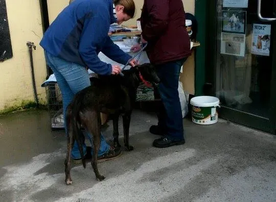 10523788 10204803646188807 983171297 n