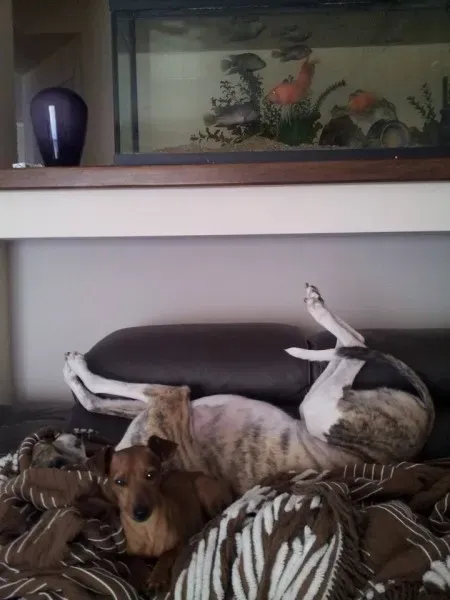 10523836 10205628406221897 6577484815737398139 n