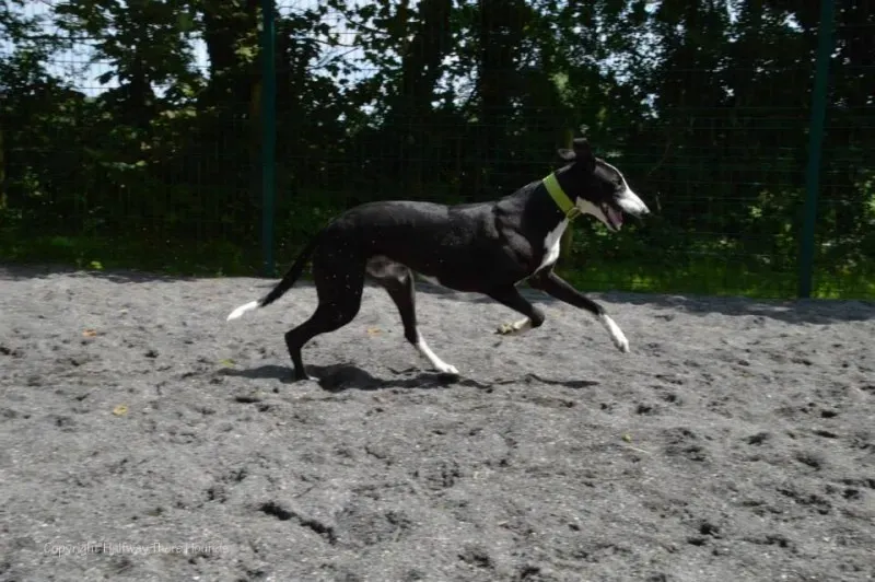 10525931 570180686423577 6198849742602076330 n