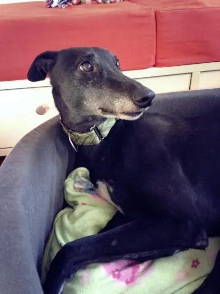 10527651 862724530412269 4338866027094894119 n