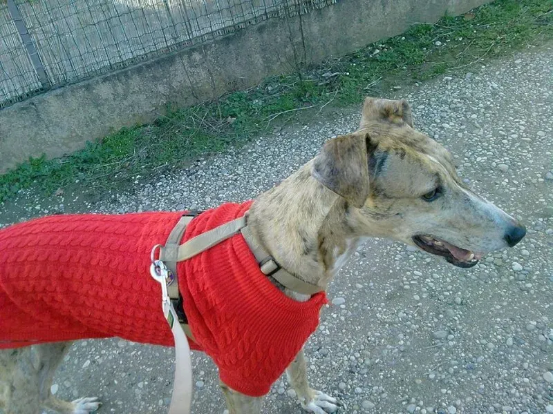 10530882 209484309412330 2057614906054498172 n